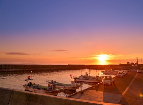 Fishing port in the morning's picture