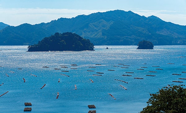 Yamada Bay and Orandajima Island's picture