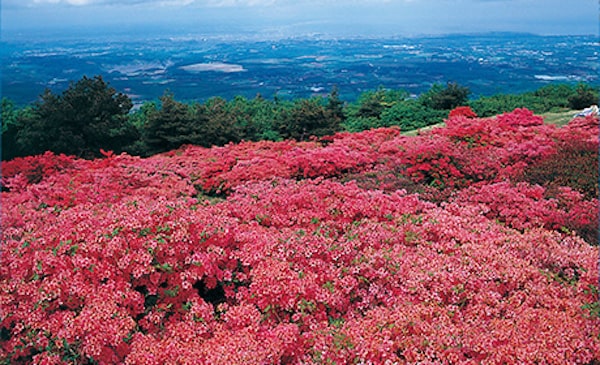 Mt. Hashikamidake's picture
