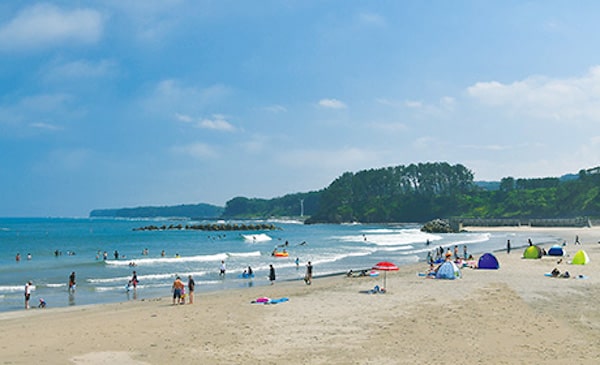 Taneichi Seaside Park's picture